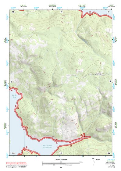 46116NE Page 91 Potlatch Topo Preview 1