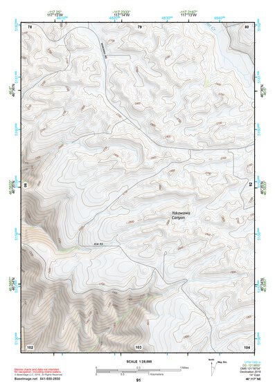 46117NE Page 91 Pullman Topo Preview 1