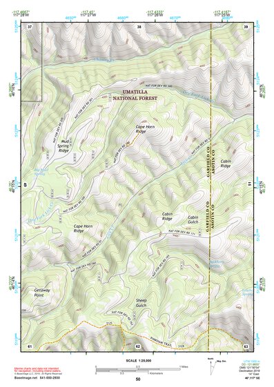 46117SE Page 50 Clarkston Topo Preview 1