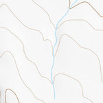 46117SE Page 54 Clarkston Topo Preview 2