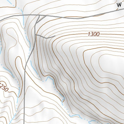 46118NW Page 2 Connell Topo Preview 3