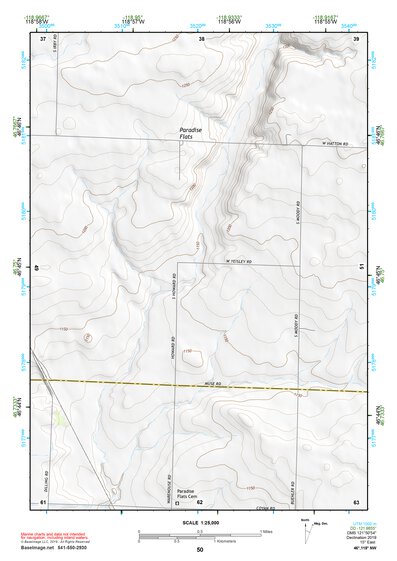 46118NW Page 50 Connell Topo Preview 1