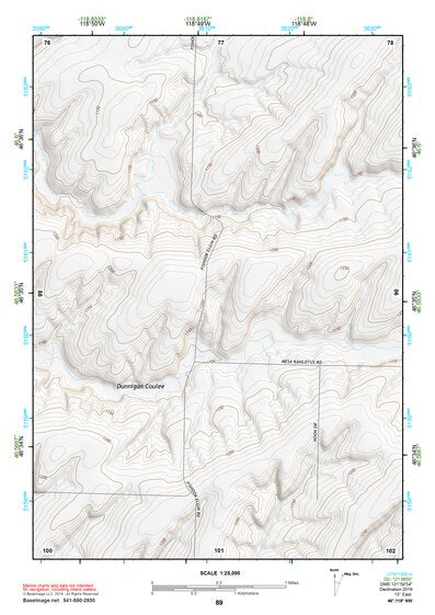46118NW Page 89 Connell Topo Preview 1