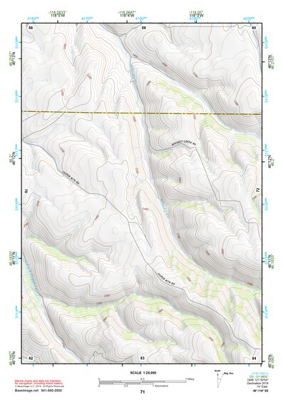46118SE Page 71 Walla Walla Topo Preview 1
