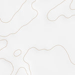 46118SW Page 46 Walla Walla Topo Preview 2