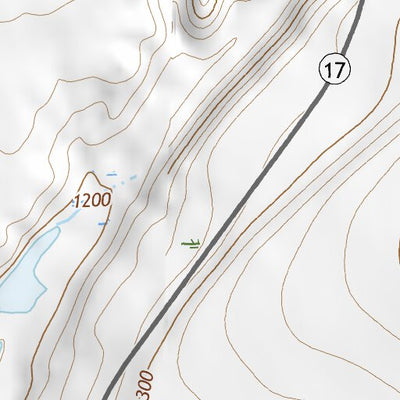 46119NE Page 10 Priest Rapids Topo Preview 3