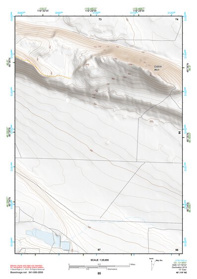 46119NE Page 85 Priest Rapids Topo Preview 1