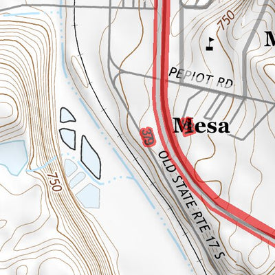 46119NE Page 96 Priest Rapids Topo Preview 3