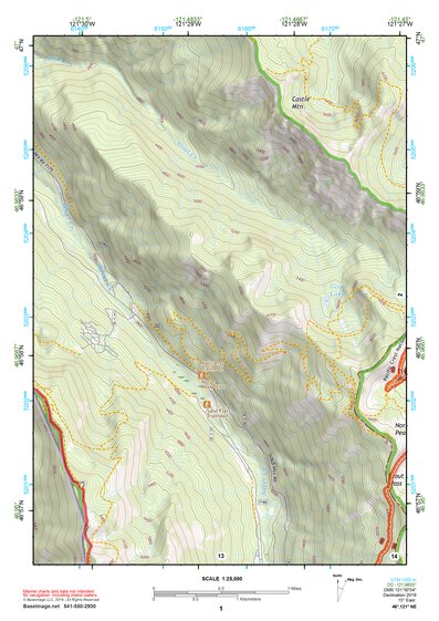 46121NE Page 1 Mount Rainier Topo Preview 1