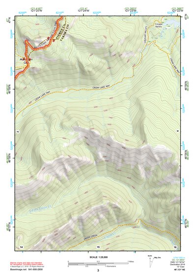 46121NE Page 3 Mount Rainier Topo Preview 1