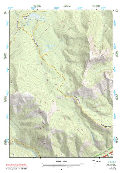 46121NE Page 4 Mount Rainier Topo Preview 1