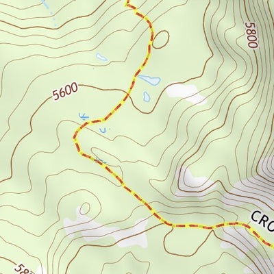 46121NE Page 4 Mount Rainier Topo Preview 2