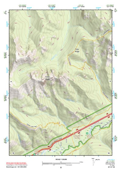 46121NE Page 5 Mount Rainier Topo Preview 1