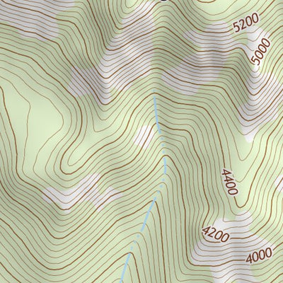 46121NE Page 7 Mount Rainier Topo Preview 3