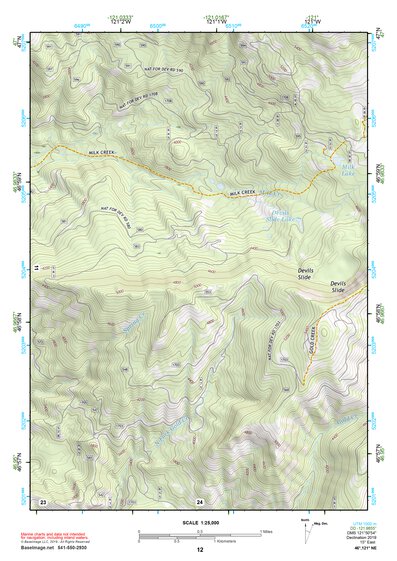 46121NE Page 12 Mount Rainier Topo Preview 1