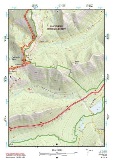 46121NE Page 14 Mount Rainier Topo Preview 1