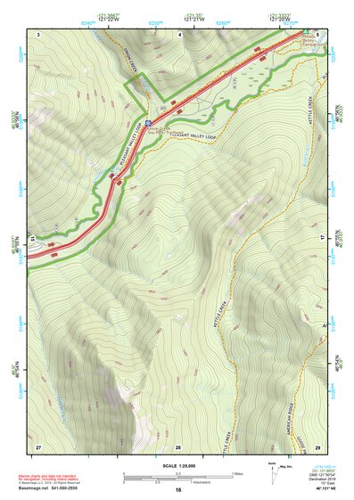 46121NE Page 16 Mount Rainier Topo Preview 1