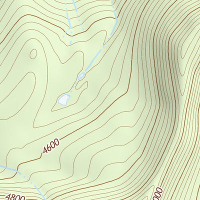 46121NE Page 16 Mount Rainier Topo Preview 2