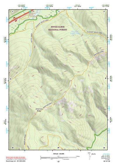 46121NE Page 17 Mount Rainier Topo Preview 1