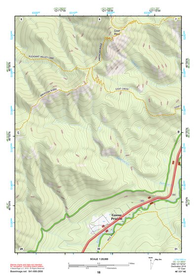 46121NE Page 18 Mount Rainier Topo Preview 1