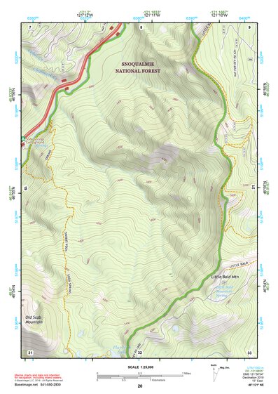 46121NE Page 20 Mount Rainier Topo Preview 1