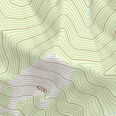 46121NE Page 20 Mount Rainier Topo Preview 3