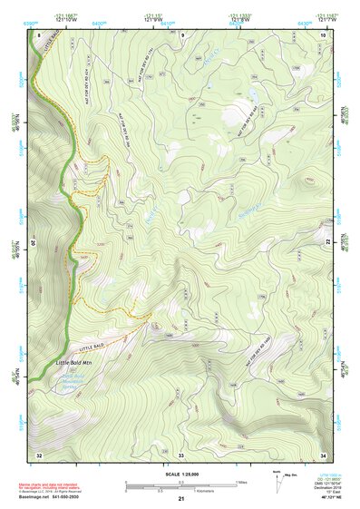 46121NE Page 21 Mount Rainier Topo Preview 1