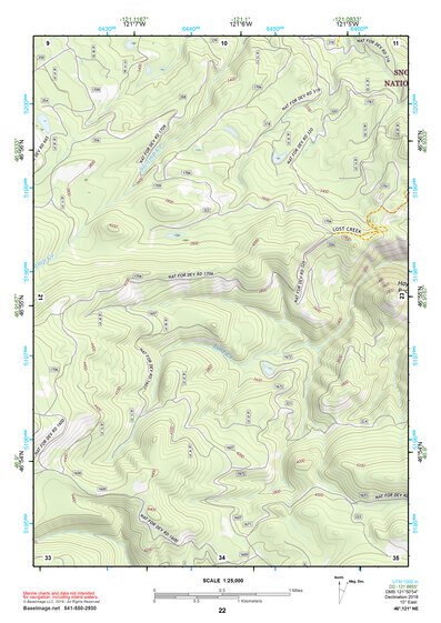 46121NE Page 22 Mount Rainier Topo Preview 1