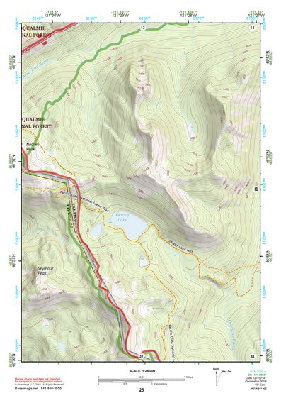 46121NE Page 25 Mount Rainier Topo Preview 1