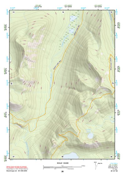 46121NE Page 26 Mount Rainier Topo Preview 1