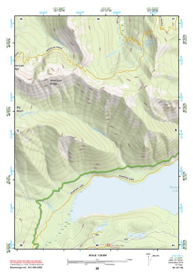 46121NE Page 28 Mount Rainier Topo Preview 1