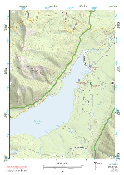 46121NE Page 29 Mount Rainier Topo Preview 1