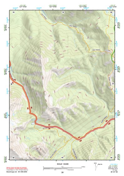 46121NE Page 31 Mount Rainier Topo Preview 1