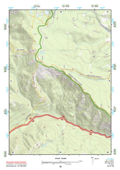 46121NE Page 32 Mount Rainier Topo Preview 1