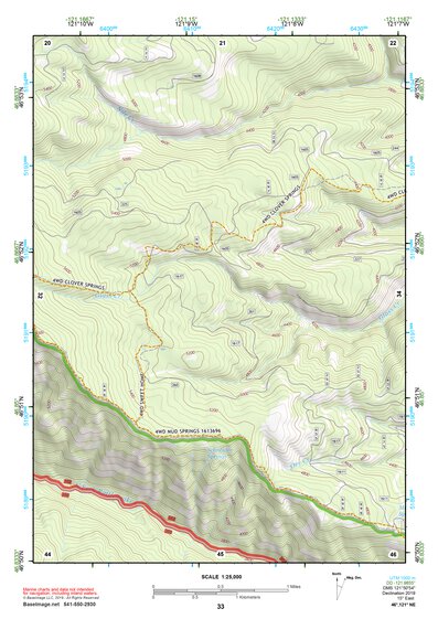 46121NE Page 33 Mount Rainier Topo Preview 1