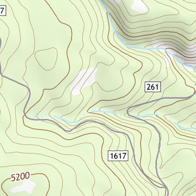 46121NE Page 33 Mount Rainier Topo Preview 2