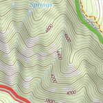 46121NE Page 33 Mount Rainier Topo Preview 3