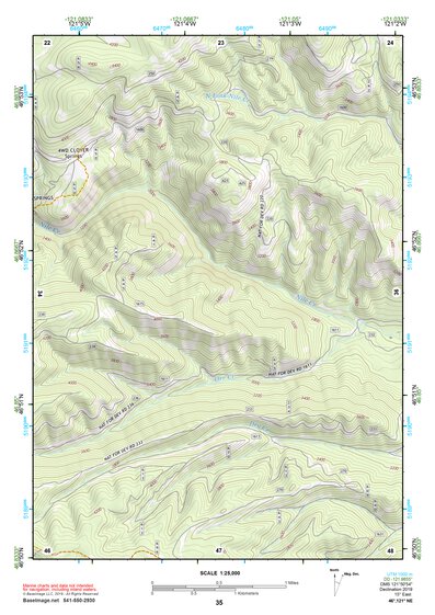 46121NE Page 35 Mount Rainier Topo Preview 1