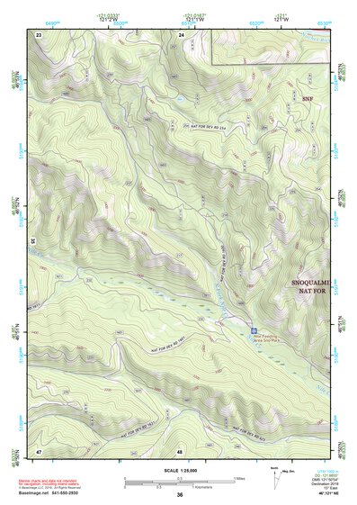 46121NE Page 36 Mount Rainier Topo Preview 1