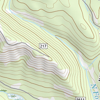 46121NE Page 36 Mount Rainier Topo Preview 2
