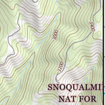 46121NE Page 36 Mount Rainier Topo Preview 3