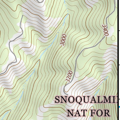 46121NE Page 36 Mount Rainier Topo Preview 3