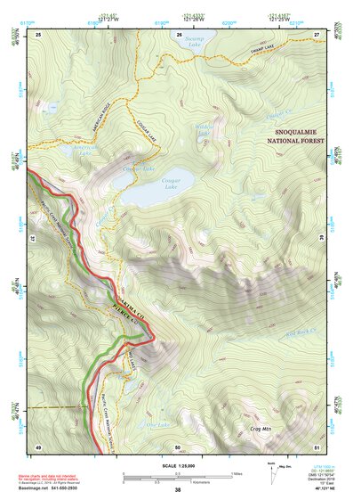 46121NE Page 38 Mount Rainier Topo Preview 1