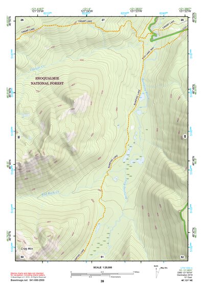46121NE Page 39 Mount Rainier Topo Preview 1