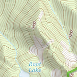 46121NE Page 40 Mount Rainier Topo Preview 3