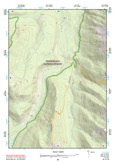 46121NE Page 41 Mount Rainier Topo Preview 1