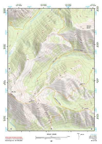 46121NE Page 43 Mount Rainier Topo Preview 1