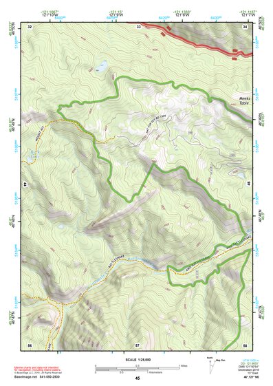 46121NE Page 45 Mount Rainier Topo Preview 1