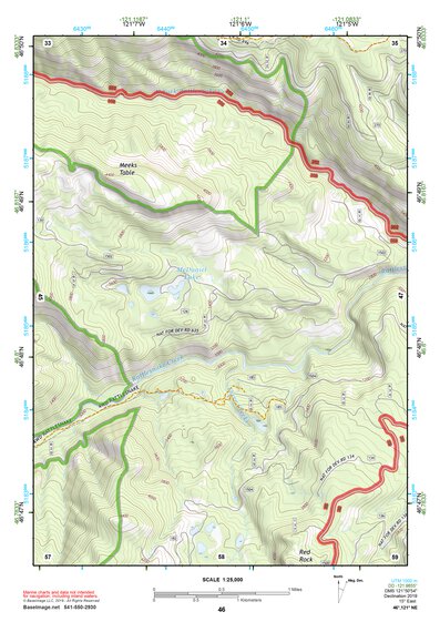 46121NE Page 46 Mount Rainier Topo Preview 1