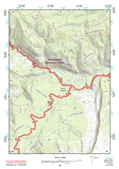 46121NE Page 47 Mount Rainier Topo Preview 1
